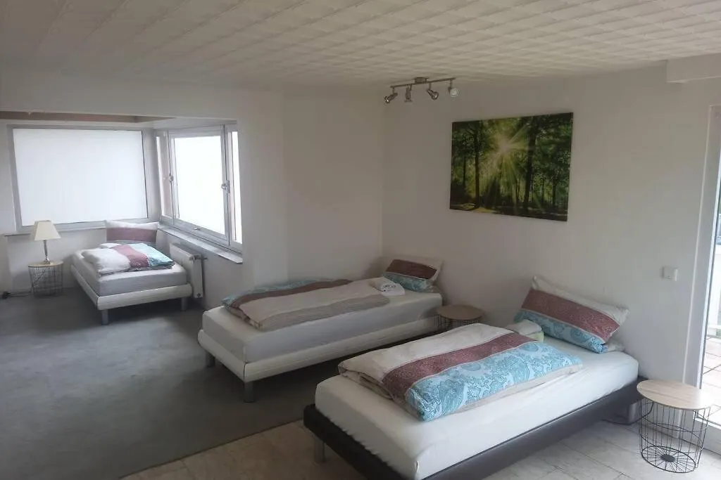 Kaminstudio Alzenau in Unterfranken Germania